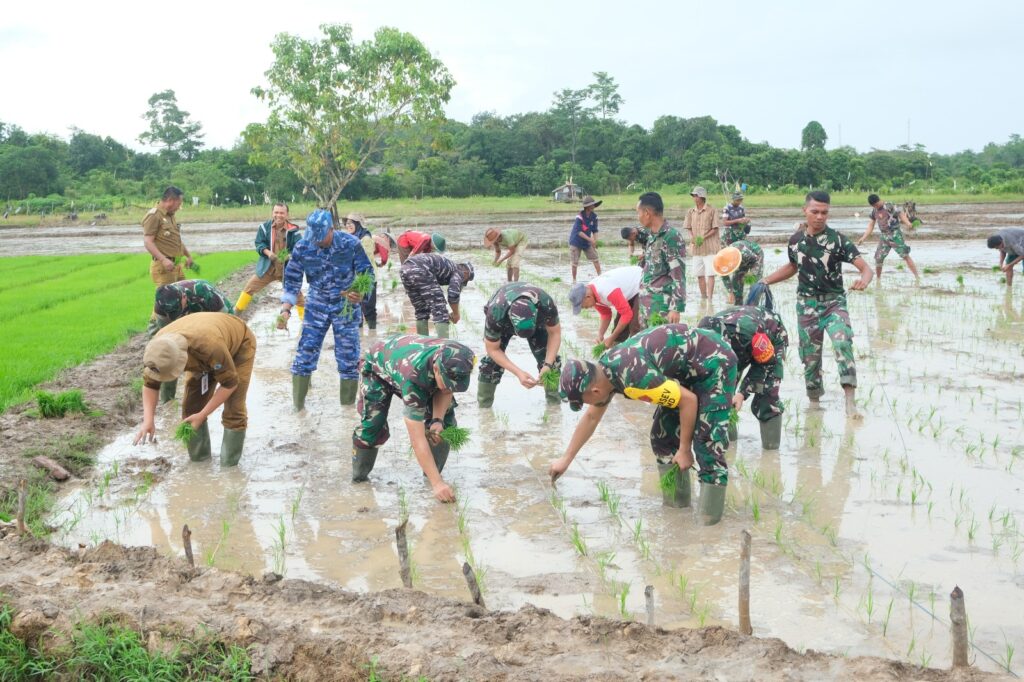 Program TMMD 123 Kodim 0905/BPP Rampung 100 Persen